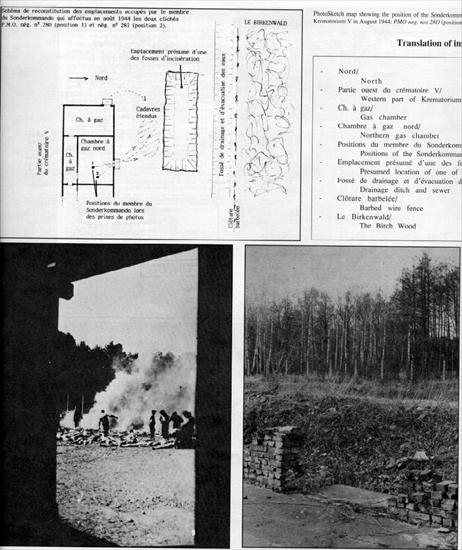 Auschwitz - Birkenau I II III - k5-cremation-pits.jpg