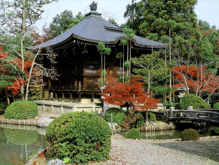 JAPONIA 1 - Seiryoji Temple, Kyoto, Japan.jpg