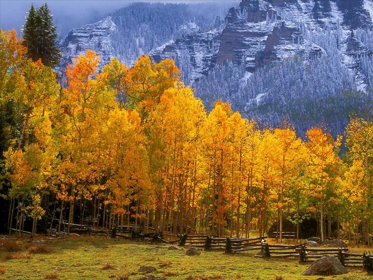 TAPETY-Najpiękniejsze miejsca - Fall in the High Country, Colorado1.jpg
