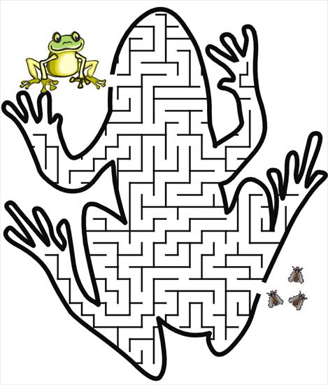 labirynty1 - Frog-Maze.gif