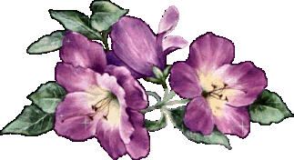 Kwiaty - blume02.gif