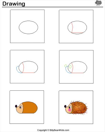 Nauka rysowania - hedgehog.gif