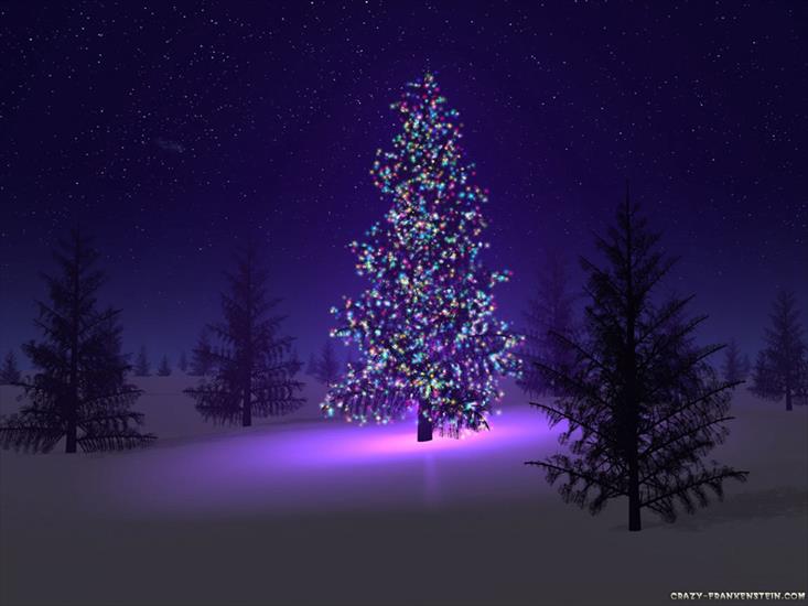 Tapetki świąteczne - beautiful-christmas-tree.jpg