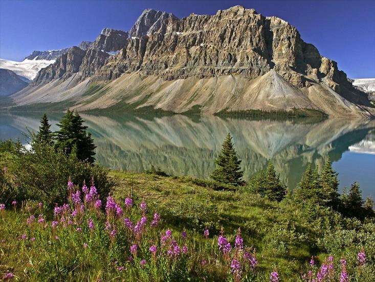Gify Piękne Widoki - Canada,Bow Lake and Flowers, Banff National Park, Alberta.jpg