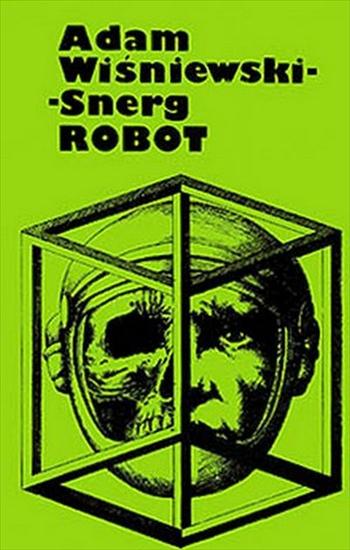 Adam Wiśniewski-Snerg - Robot - okładka książki - Wydawnictwo Literackie, 1977 rok.jpg
