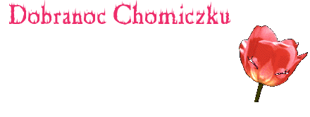 NAPISY NA CHOMIKA  DZIEŃDOBRY DOBRANOC ITP - ChomikImage2.gif
