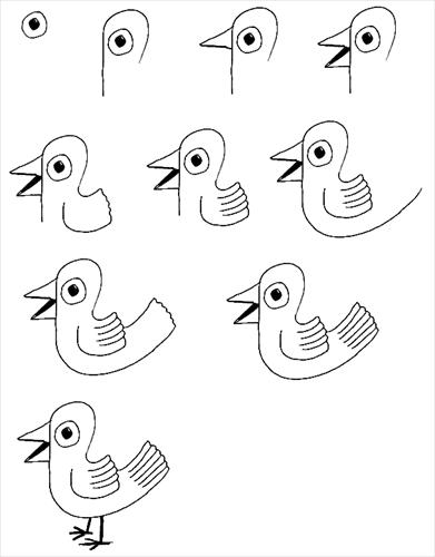 Jak to narysować - Ptak1.jpeg