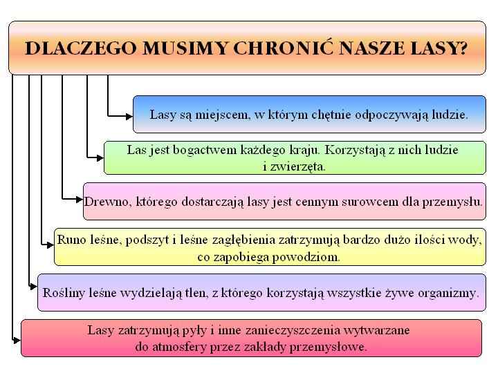 plansze dydaktyczne - SCHEMAT_dlaczego_musimy_chronic_nasze_lasy.jpg