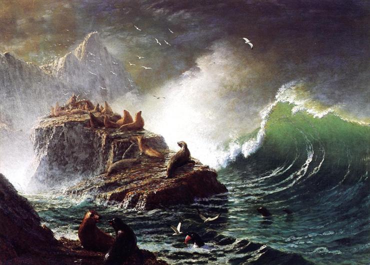 Albert Bierstads 1830  1902 - Bierstadt_Albert_Seals_on_the_Rocks_Farallon_Islands.jpg