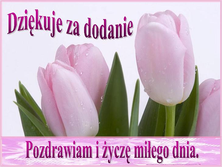 życzenia  za dodanie - beztytułu1.JPG